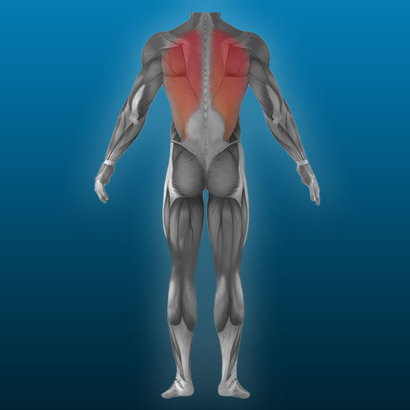 Back.jpg
