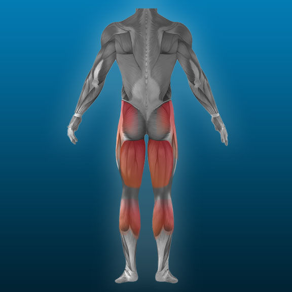 Legs_Back.jpg