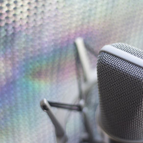Ask Terry Anything About Voiceovers
