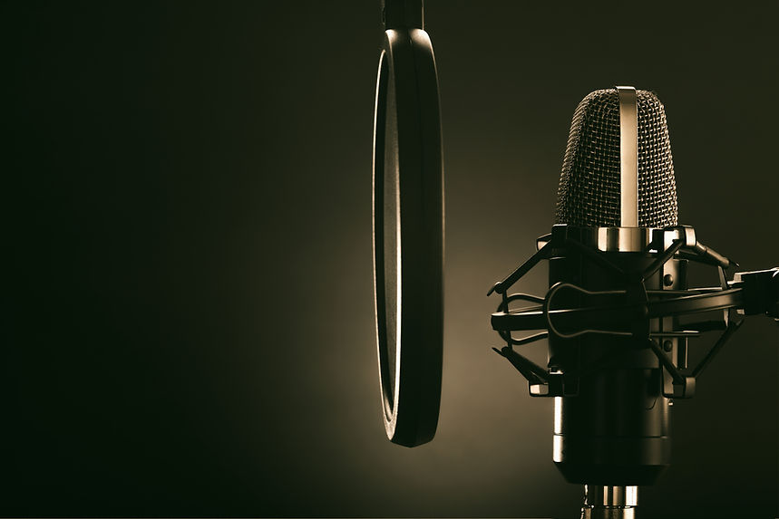 Professional studio microphone and pop filter. Monochrome image. Pure sound. Professional