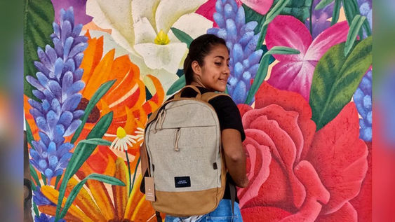 mochila marrón