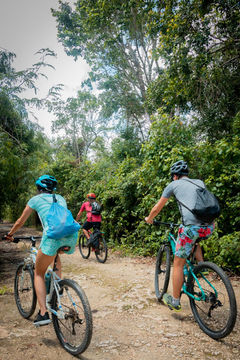 Cenote trail jungle