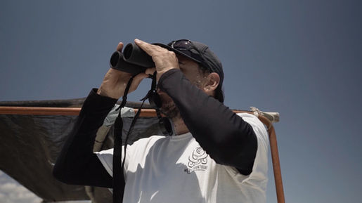 BINOC birdwatching rio lagartos