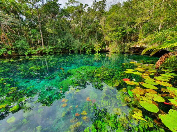 Cenote Azul Tulum