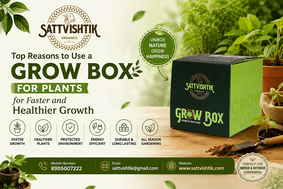 Grow Box For Plants