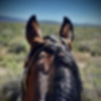 326115512_756929678629129_6511155451481510538_n