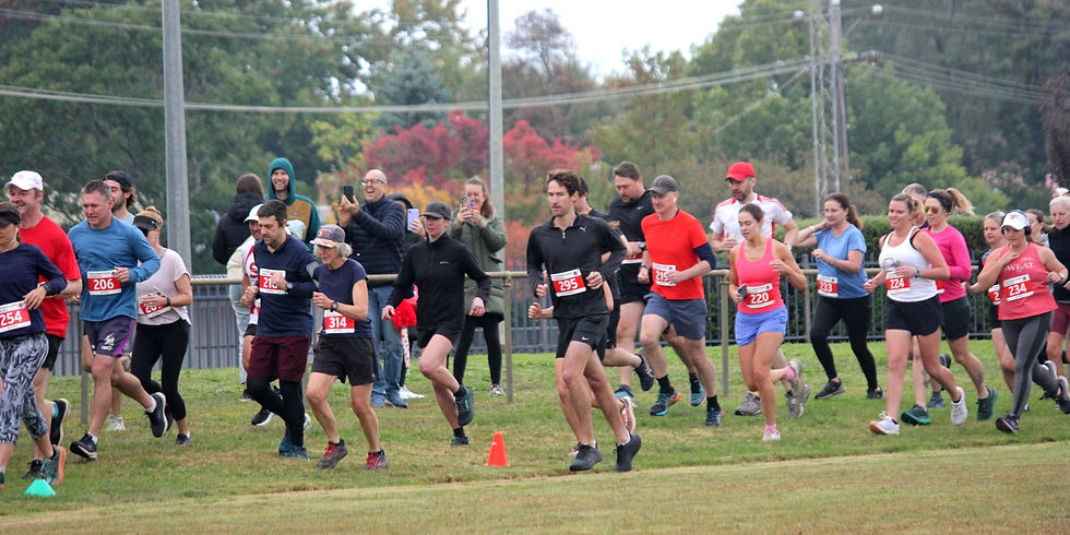 339977708_582686093807179_1112228029422238177_n_edited_edited.jpg