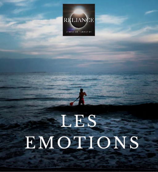 Mieux Comprendre et Apaiser ses Emotions + 3h avec un Pro en Visio