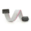 IDC Ribbon Cable Assembly