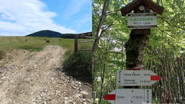 Lackowa. "Góra policyjna" i Ściana Płaczu w Beskidzie Niskim