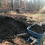 Thumbnail: Barnyard Blend