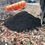 Thumbnail: Loam Compost Blend