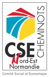 Logo-CSE-NEN-CMJN-vectorise.png