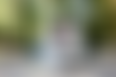 Cartier : une touche d'élégance intemporelle pour votre mariage parisien