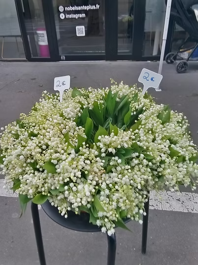 Le muguet : une tradition française du 1er mai