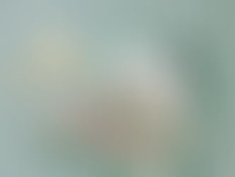 Assets vs. Liabilities: Are You Playing for the Winning Team?