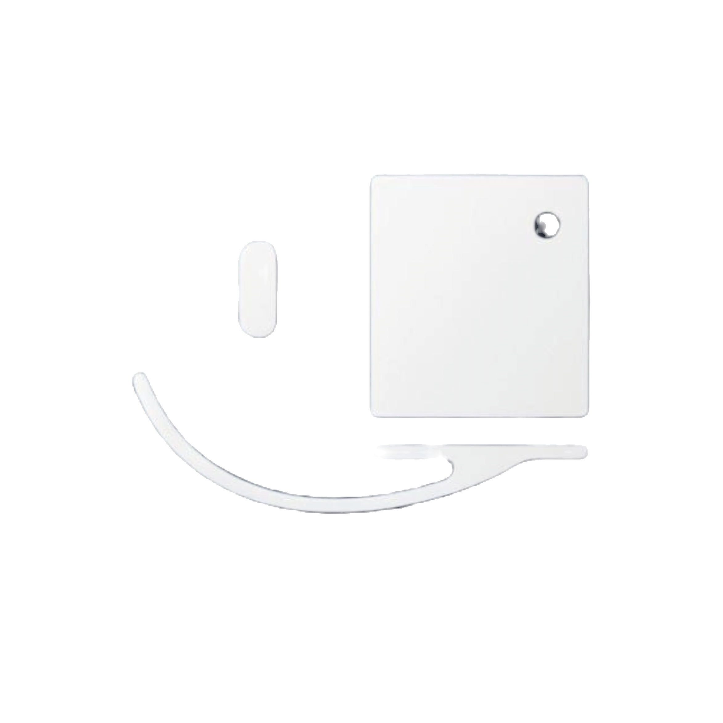 LOGOTIPO SCT (3)_edited.png