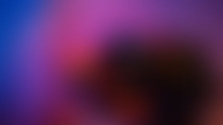 Is Mirrorless the Future?