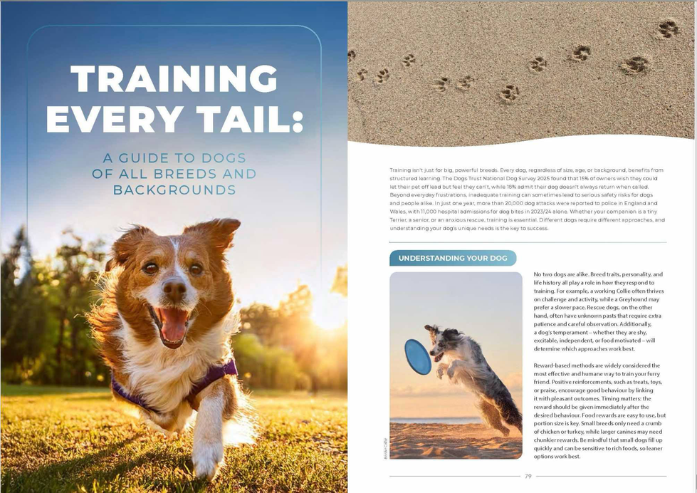 Dog training