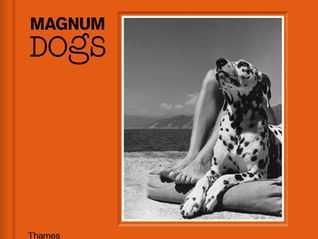 Our top photobooks of 2021