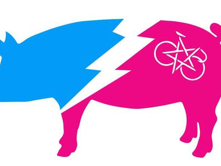 DKWTS 6.0 Adventure Kitten Tour - Stage 1