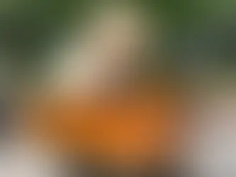 DKWTS 6.0 Adventure Kitten Tour - Stage 3