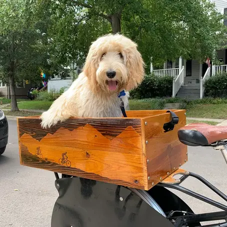 DKWTS 6.0 Adventure Kitten Tour - Stage 3