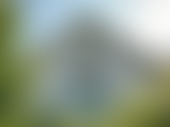 Stylish Gable Vents for Style and Function