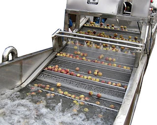 Work-principle-of-fruit-bubble-washer-machine.jpeg