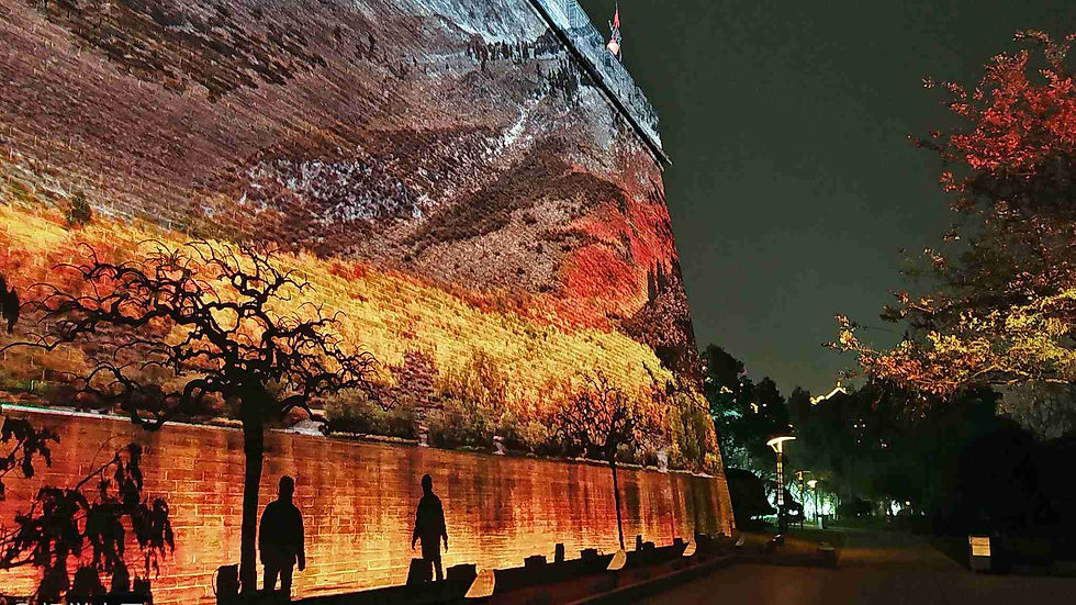 colorful ancient wall with tree