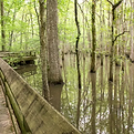 Cache River SP.png
