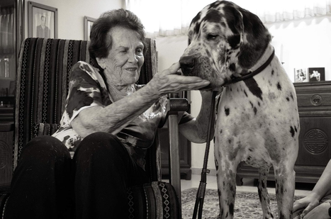 מפגש והרצאה בנושא כלבים ושואה - 28 אפריל 2022 בשעה 19:00