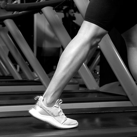 PRÓTESE DE PANTURRILHA