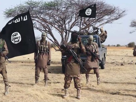 Boko Haram terrorists launch fresh attack, abduct over 100 women IDPs while fetching firewood in Borno