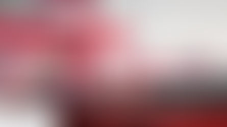 Rotterdam Strike Nears Resolution as Shipping Backlog Begins to Ease