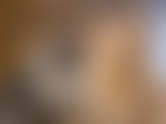Maine coon cat and orange cat