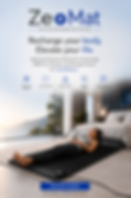 zeomat vertical banner.png