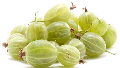 Gooseberries-hero-3234afa9-1df8-4105-9654-23b62411f06d-0-472x310.jpg
