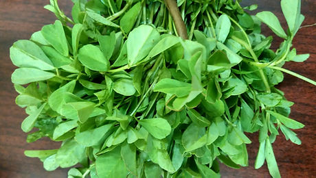 Aesthetic_bunch_of_fenugreek_greens.jpg