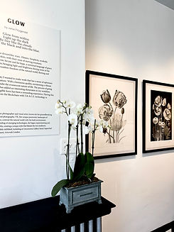 Picture of gallery interior