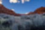 Overture_1_H_Stout_2024_small.jpg