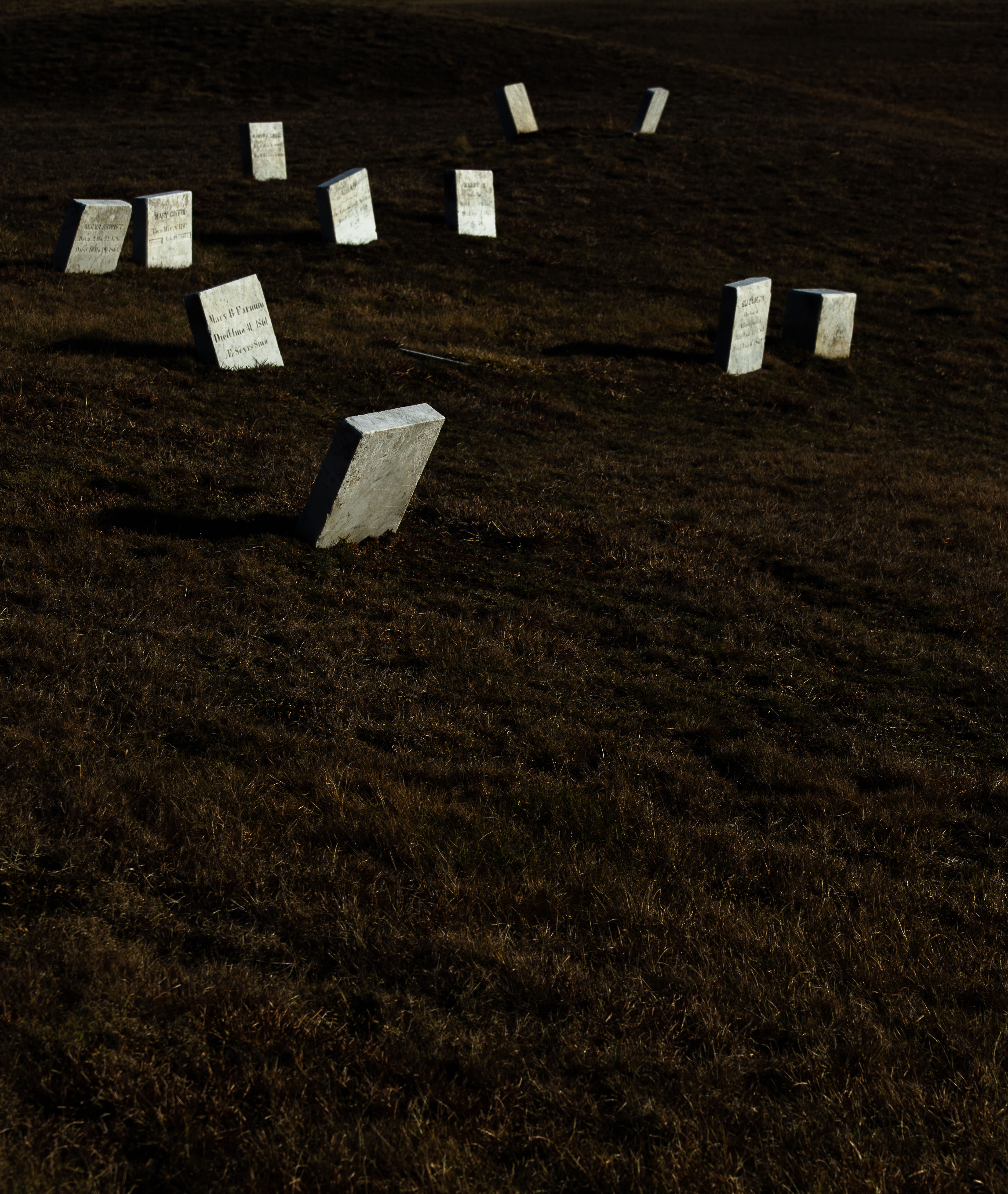 Quaker Cemetery, 2021. Riley Martin Wynn