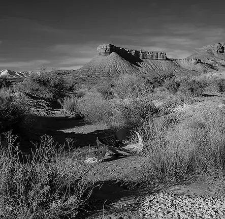 A Black and White Print by Heather N. Stout of a South Western Landscape at Colonna Contemporary Art in Wayne PA
