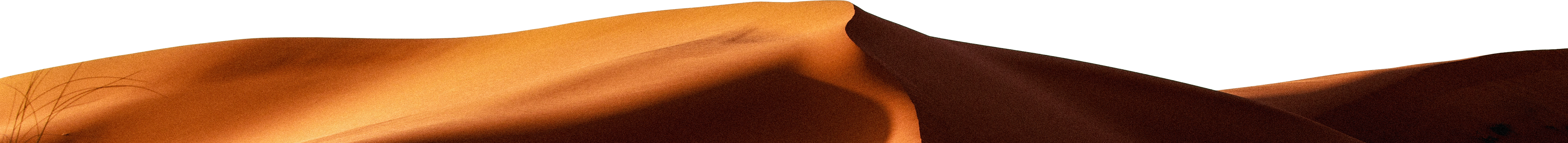 DUNE.png