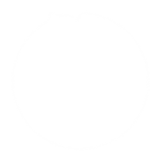 figur-1.png