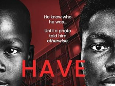 Book Review of Have You Seen Him by Kimberly Lee: Suspense, Characters, and Writing Takeaways