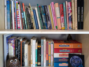 The Writer I Never Meant to Be: Becoming a Poet
