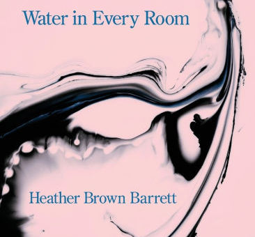 From the Bookshelves: Heather Brown Barrett's Water in Every Room (Review)