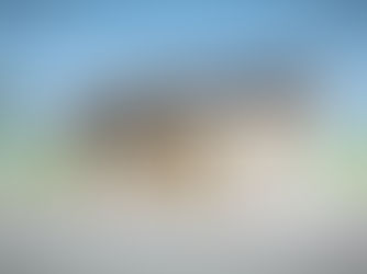 小上がりリモートコーナーのある平屋