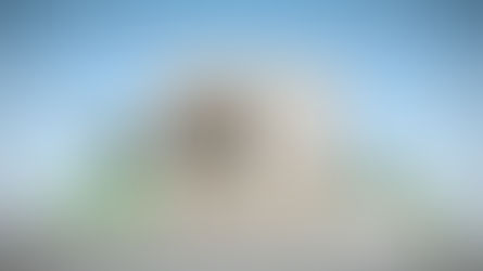 お帰り洗面の回遊動線とリモートコーナーを工夫した間取り